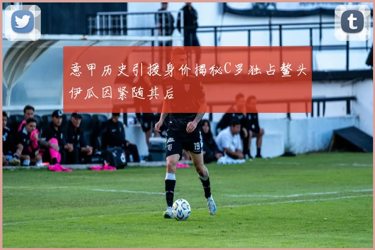 意甲历史引援身价揭秘C罗独占鳌头伊瓜因紧随其后